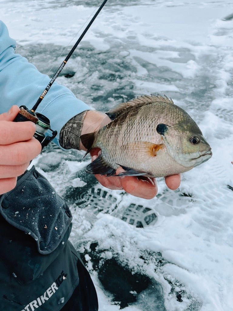 Pre-Built Panfish Ice Rods – Gold Standard Outdoors