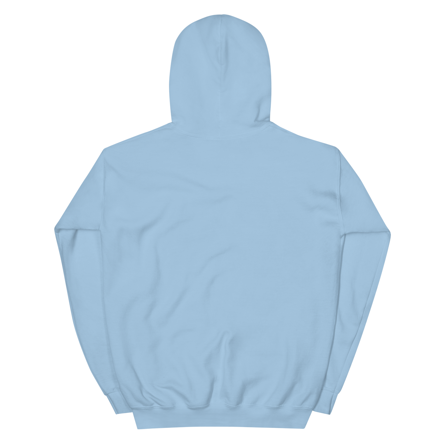 Est. 2011 Unisex Hoodie
