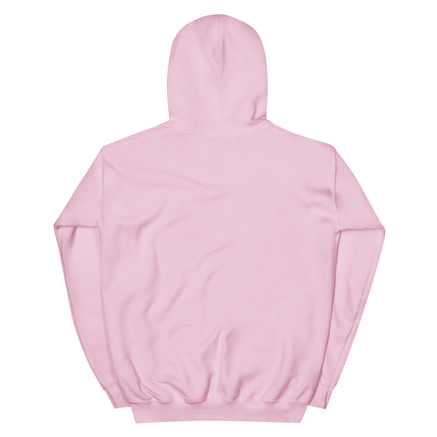 Est. 2011 Unisex Hoodie