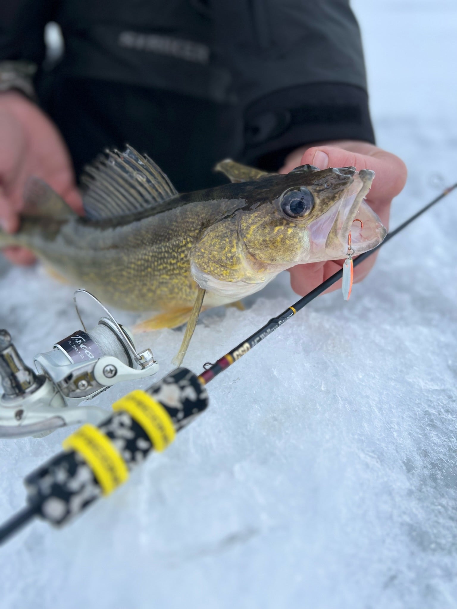 Pre-Built Predator Ice Rods – Gold Standard Outdoors
