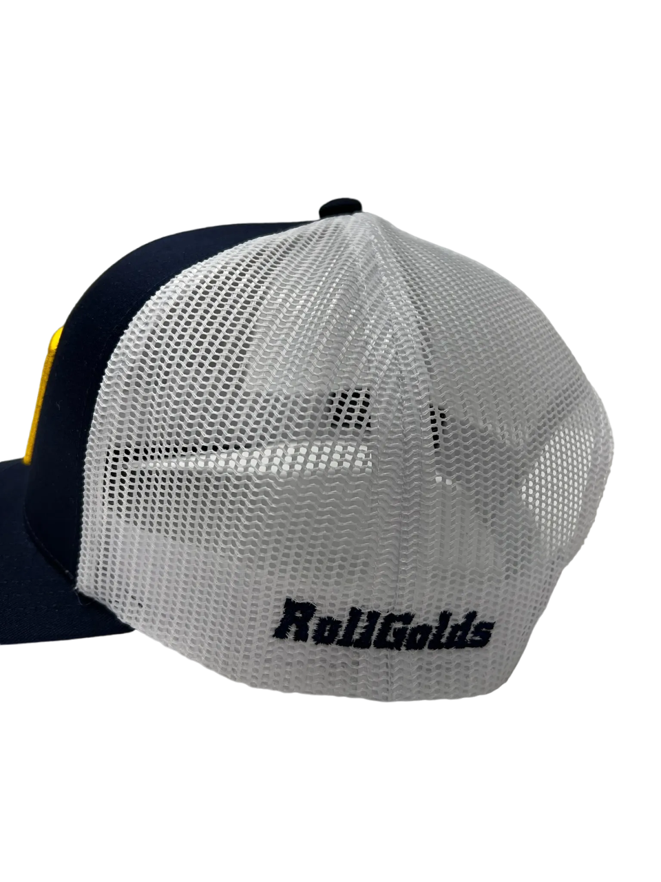 3D Logo Blugold Hat
